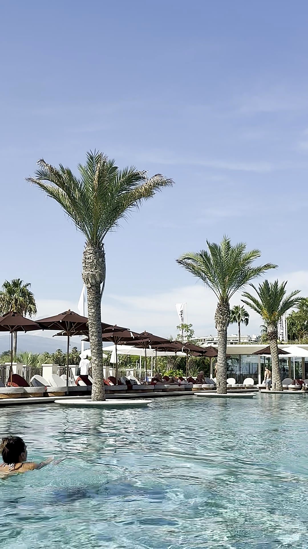 The mythical Palm Beach pool framed by palm trees
